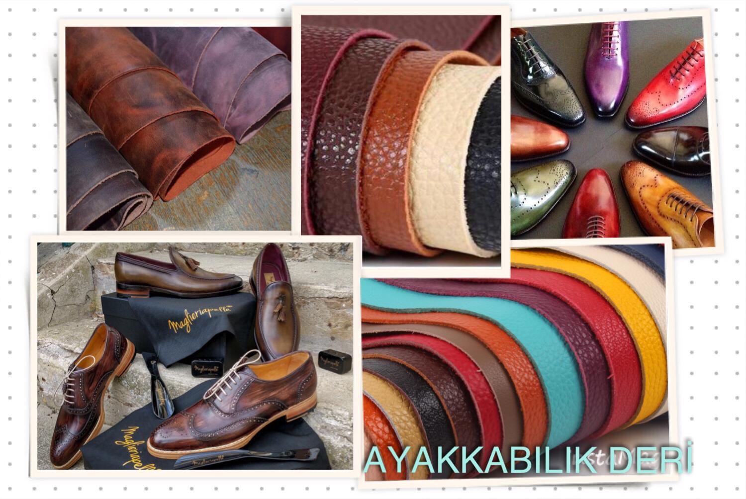AYAKKABILIK DERİ